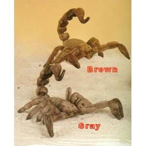  Stuffed Scorpion Toys & Games
