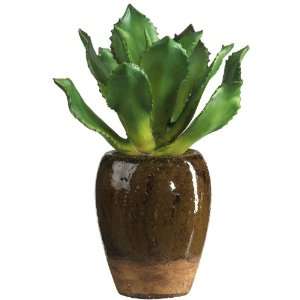  Succulent Silk Plant w/ Ceramic Vase
