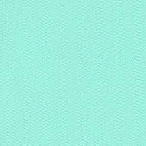  54 Wide Amy Butler Decorator Twill Mint Fabric By The 