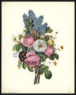   Louis Prevost Vintage Botanical Print Roses Camellia Auricula  