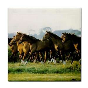  Wild Horses Ceramic Tile Coaster Great Gift Idea Office 