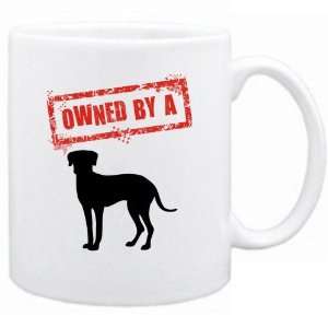   New  Owned By Catahoula Leopard Dog  Mug Dog