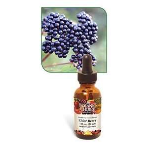   Botanic Choice Elder Berry Liquid Extract 1 oz