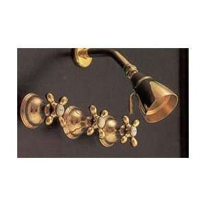 St. Lawrence Shower Set   Lacq. Brass  