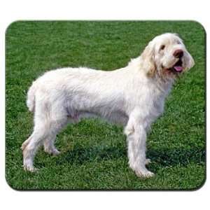  Spinone Italiano Mousepad