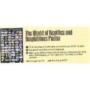    Zoo Med World of Reptiles and Amphibians Poster