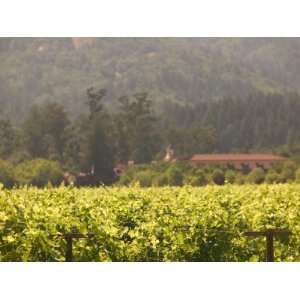  Vineyard View, St. Helena, Napa Valley, California Premium 