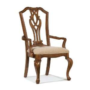   Furniture Evolution Pierced Chippendale Arm Chair
