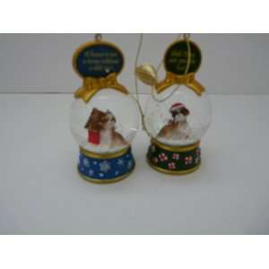  Shih Tzu Snowglobes ( There Are Two One Green and One Blue 