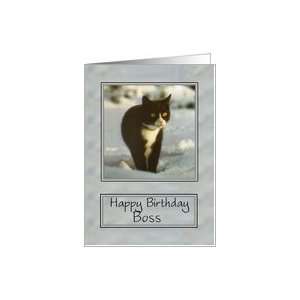  Black and white cat in the snow happy birthday boss Card 