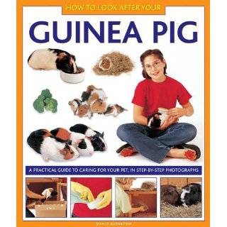  Your Guinea Pig Books