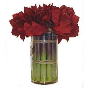 Amaryllis in Cylinder Vase, 20 IN. red 