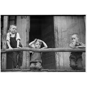  Photo Coal miners children, Pursglove, West Virginia 