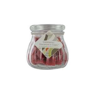 Scented Candle Simmering Fragrance Chips One 5 Oz Jar By Spiced Apple 