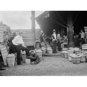  Activity at the Tradition Hallowed French Market 