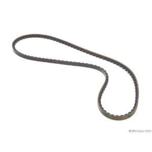  Conti W1002 33071   V Belt Automotive