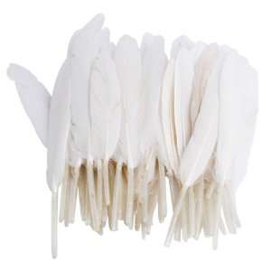  50pcs Home Decor White Goose Feather