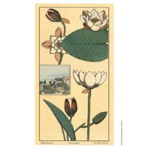    Water Lily I   Poster by M. P. Verneuil (10x18)