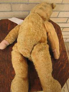 Large Antique TEDDY BEAR Early 1900s f122  