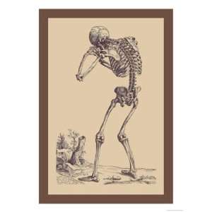    Bending Skeleton by Andreas Vesalius 12x18