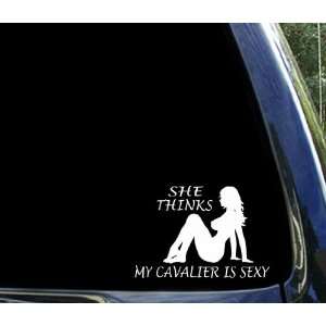  She thinks my CAVALIER is sexy ~ funny chevy window decal 