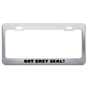 Got Grey Seal? Animals Pets Metal License Plate Frame Holder Border 