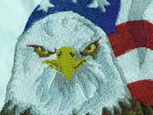 Eagles Machine Embroidery Designs  