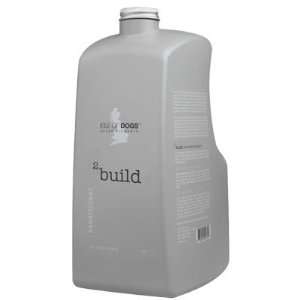  SALON 2 Build Conditioner Gallon Beauty
