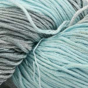  Araucania Ruca Multi [Denim, Sky Blue] Arts, Crafts 