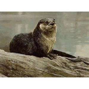  Robert Bateman   Otter Study