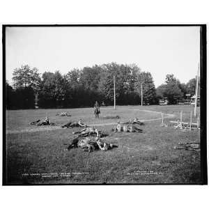  Cavalry detachment,throwing horses,M.M.A.,Orchard Lake 