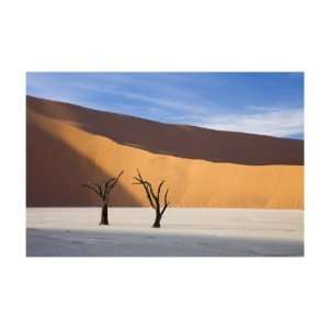   , Namibia Giclee Poster Print by Andy Biggs, 26x19