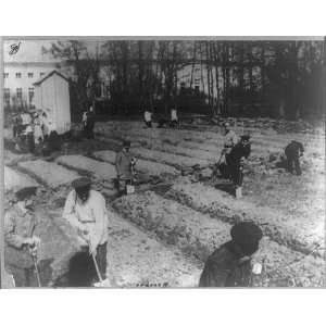  Czar,Romanovs,working,garden,Tsarskoe Selo,Russia,c1921 