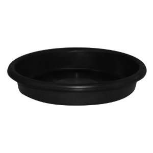  Mondi Super Saucer 6 Inch (100/Case)