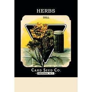  Vintage Art Herbs Dill   02590 5