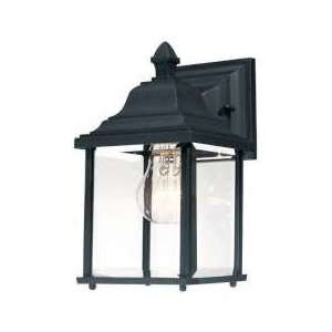   Black 1 Light Wall Mount Outdoor by Dolan Designs #