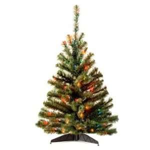  4 Kincaid Spruce Tree; 100 Multi Lights UL