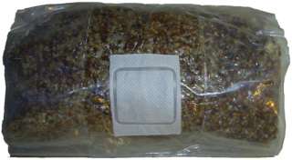 Magic Mountain Mushroom Grain spawn 6 lbs grow bag kit  