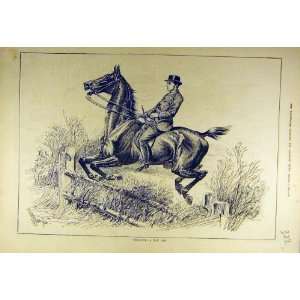    1880 Schooling Hunter Horse Jump Fence Hunting Hunt
