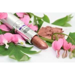  Cinnamon Lipstick   Vegan   Zosimos Botanicals Beauty