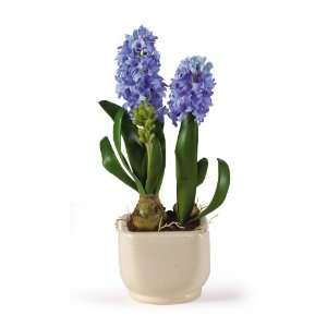 Real Looking Hyacinth w/Glazed Pot Silk Flower Arrangement Blue Colors 