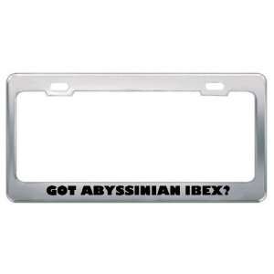 Got Abyssinian Ibex? Animals Pets Metal License Plate Frame Holder 