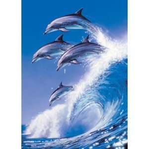  OUT OF BLUE DOLPHINS MEIKLEJOHN 24X36 POSTER #PP0553 