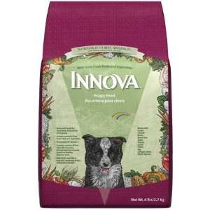  Innova Puppy Food   6 lb (Quantity of 1) Health 