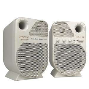  2 Piece Amplified Multimedia Speaker System Electronics