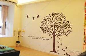 Linden Tree large  71 inch large vinyl wall decals  