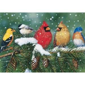  Cardinals and Friends Jigsaw Puzzle Toys & Games
