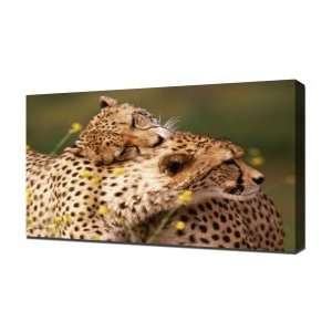 Leopards   Canvas Art   Framed Size 40x60   Ready To 