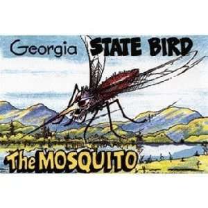    Georgia Postcard 13163 Ga State Bird(pack Of 750) 