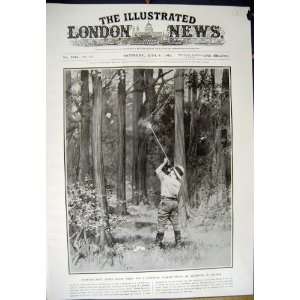  1912 MAN AUMAURY TALBOT SHOOTING FLOWERS TREES NIGERIA 